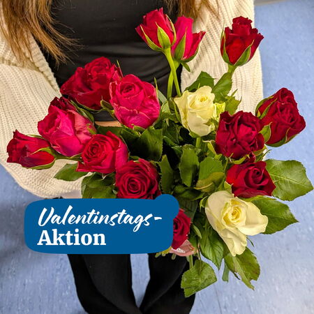 Eine Person hält einen Strauß roter und weißer Rosen, passend zur Valentinstags-Aktion.