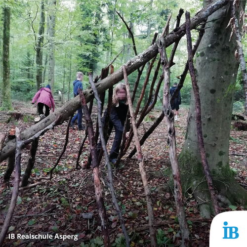 Schüler der 8a bauen im Schullandheim gemeinsam ein Tipi aus Ästen im Wald.