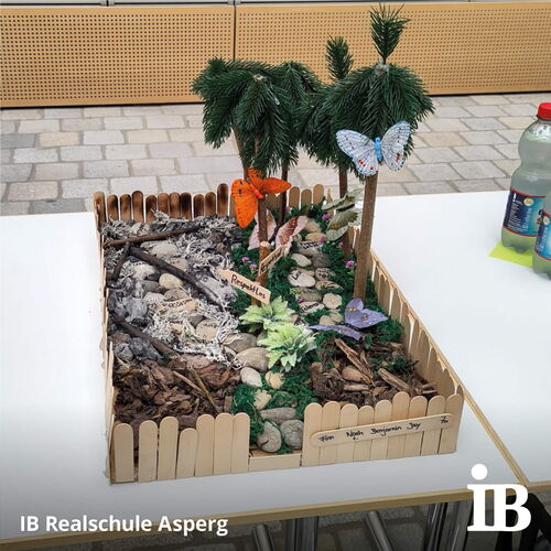 Ein kreatives Modell mit Schmetterlingen und Bäumen steht auf einem Tisch, präsentiert beim Wettbewerb der Realschule Aspe.