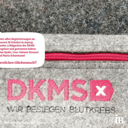 DKMS Filztasche auf einem Teppichboden