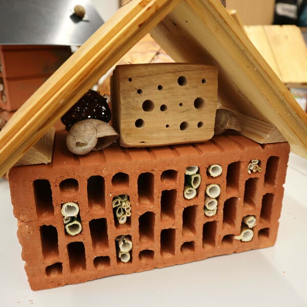 ein selbstgebautes Insektenhotel aus einem Ziegelstein und Holzplatten als Dach. darunter Schneckenhäuser und Schilfhalme