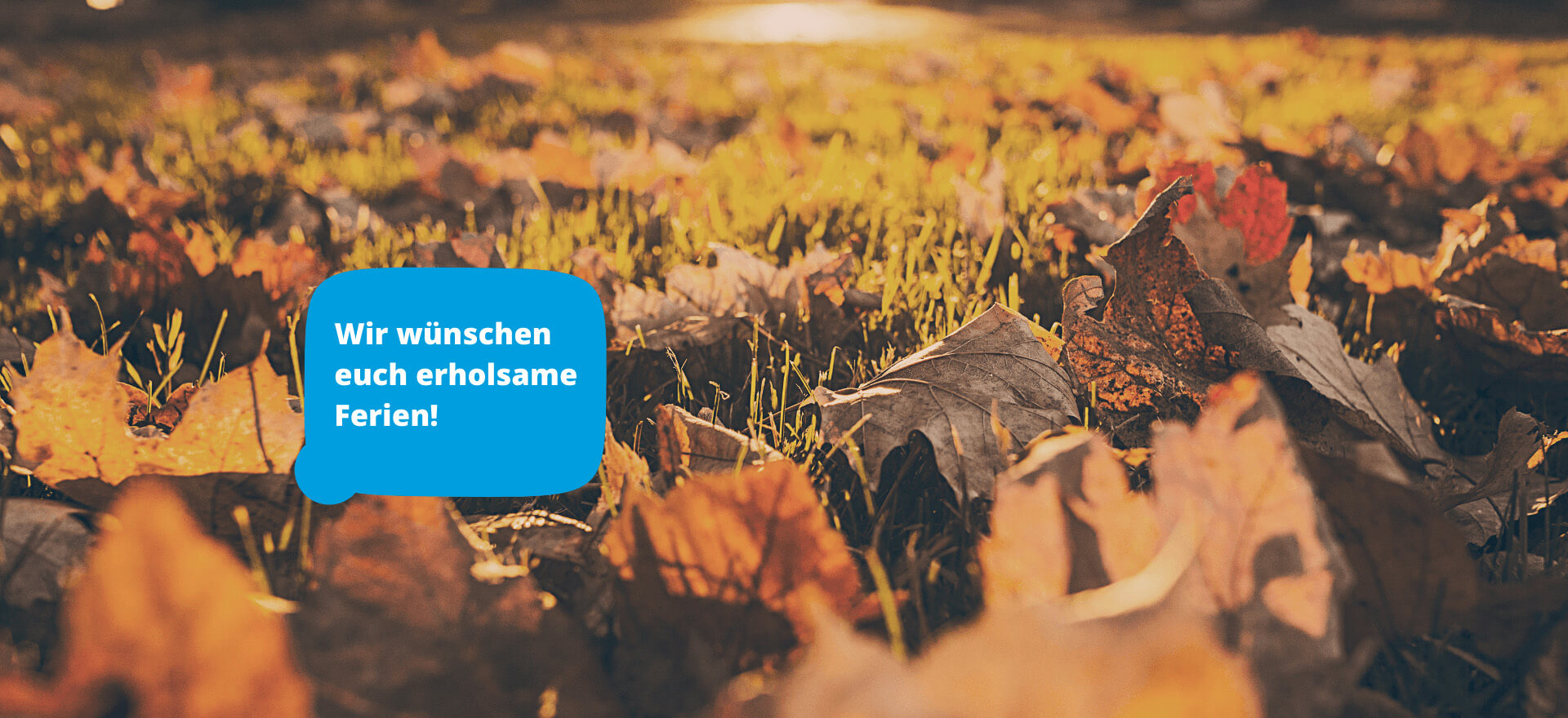 Wir wünschen Euch erholsame Ferien!