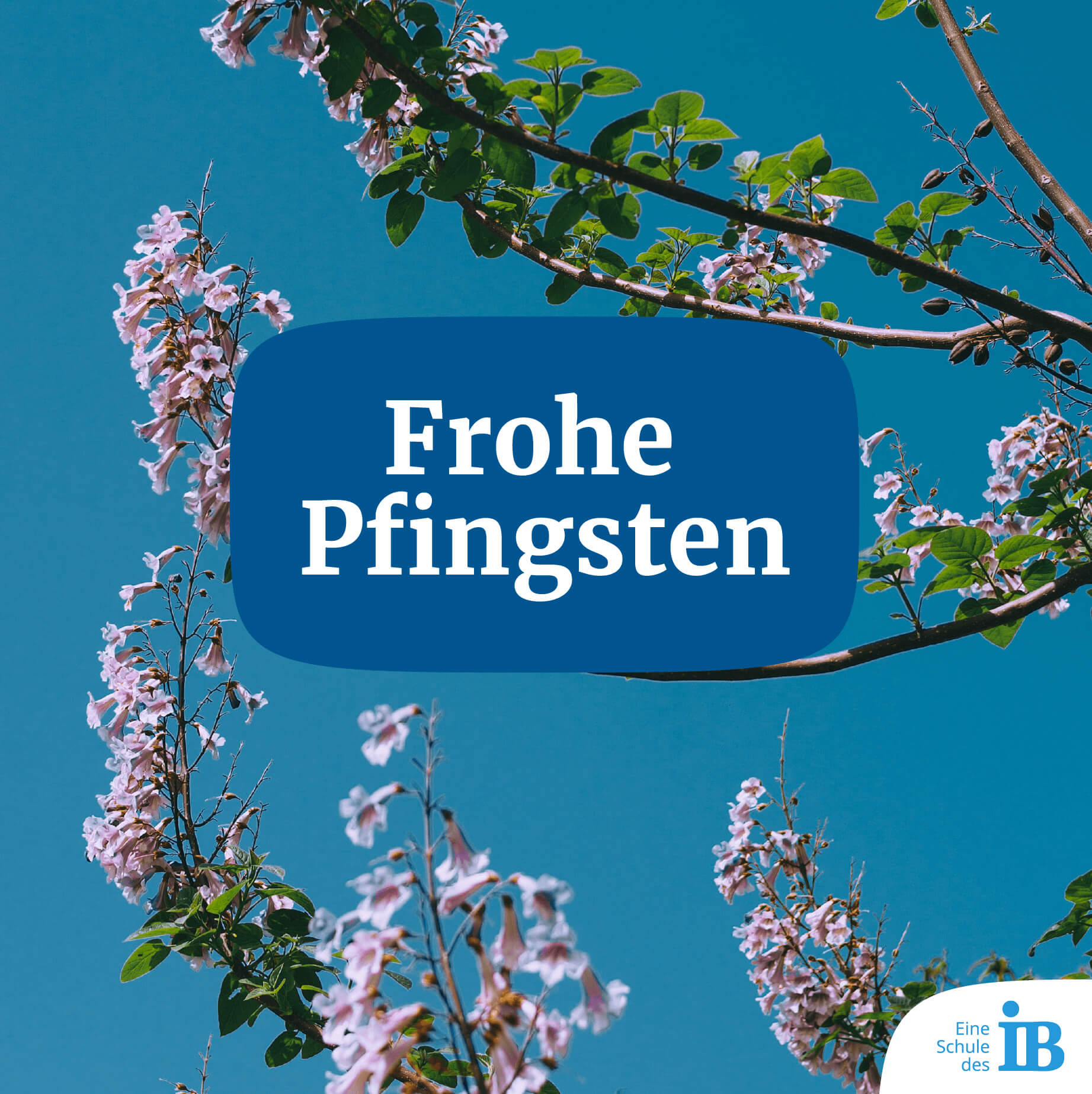 Frohe Pfingsten