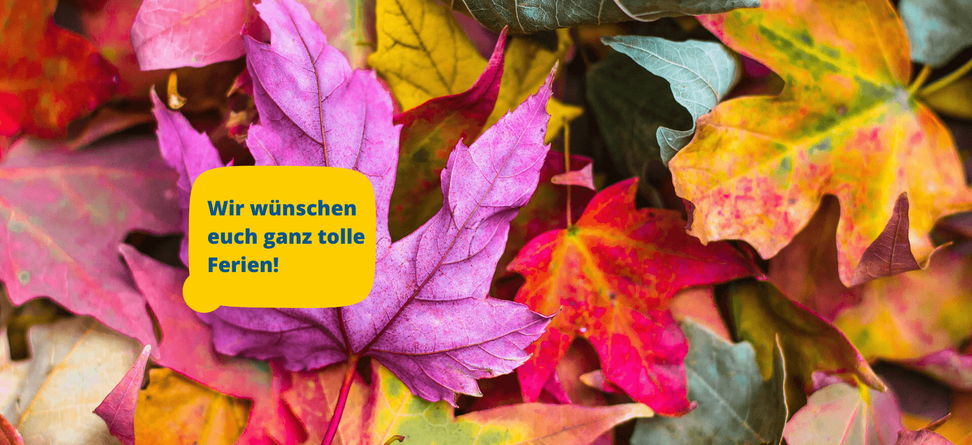 Wir wünschen Euch ganz tolle Ferien!